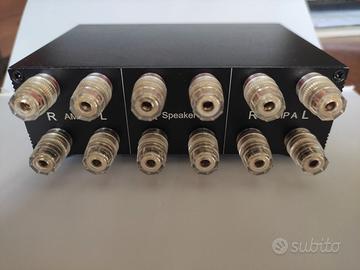 switch controller di amplificatori o speaker