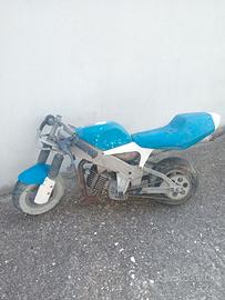 minimoto polini