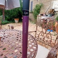 CANNA BOLOGNESE DAIWA AMORPHOUS MEGATOP WHIP 9 m