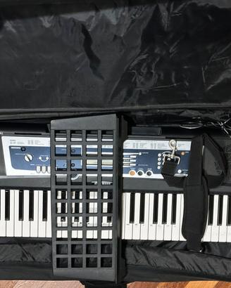 Yamaha YPT-210.