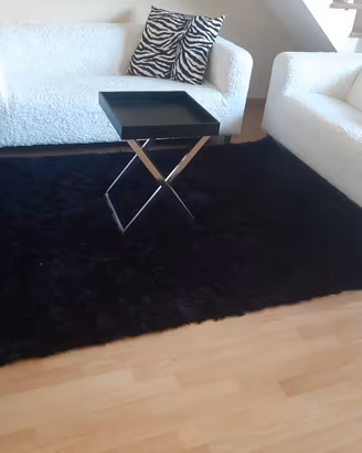 Divani bianchi con tappeto e tavolino. Set salotto