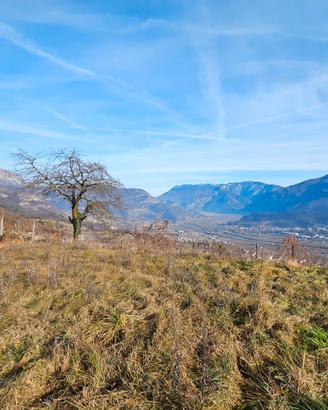 TERENO BACIATO DAL RIO per ORTO/VIGNETO/FRUTTETO