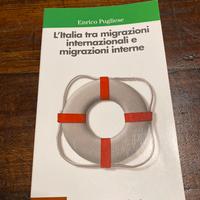 L’Italia tra migrazioni internazionali e interne