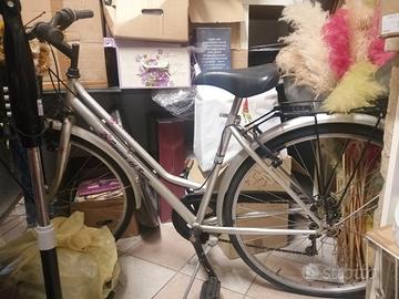 bici grigio metallizzata 