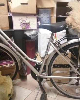 bici grigio metallizzata 