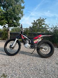 Montesa Honda Cota 4RT 250