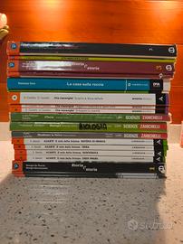 Libri, testi scolastici 