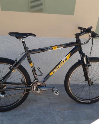 bicicletta mountain bike Wheeler