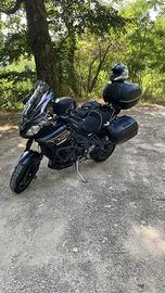 Tiger Sport 1050 2016