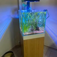 acquario acqua dolce