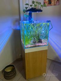 acquario acqua dolce