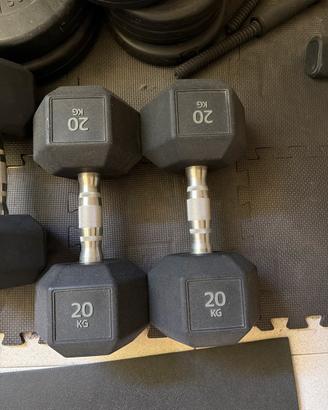 Home Gym - Manubri Technogym/Domyos e Kettlebell