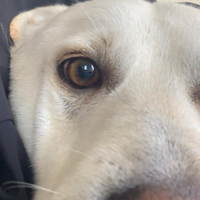 Il tempo scorre: in adozione