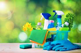 Donna delle pulizie