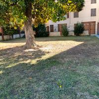 Locale centro storico