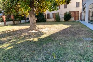 Locale centro storico