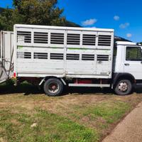 Iveco trasporto animali