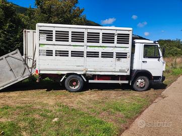 Iveco trasporto animali