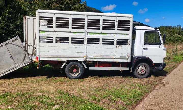 Iveco trasporto animali