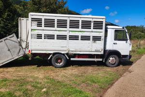 Iveco trasporto animali