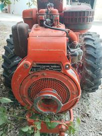 motozappa pasquali 904