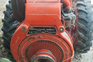 motozappa pasquali 904
