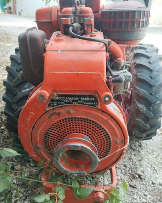 motozappa pasquali 904