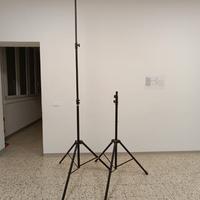 Coppia di stativi Adam Hall  - altezza max 3mt