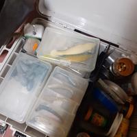 stock attrezzature pesca