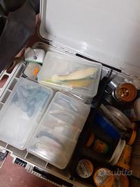 stock attrezzature pesca