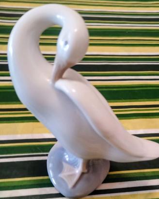 Little duck LLadro