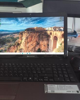 portatile dell easynote ts