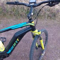 Bici elettrica ebike