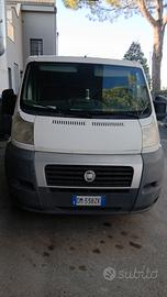 fiat ducato 2008