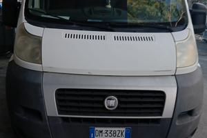 fiat ducato 2008