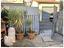 Immagine 7
