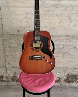 Chitarra Eko VI