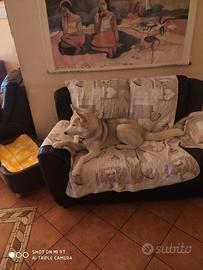 Coppia siberian husky