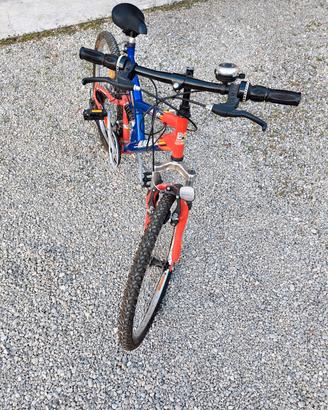bicicletta 
