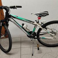 MTB Paxson  Bambino - Cambi