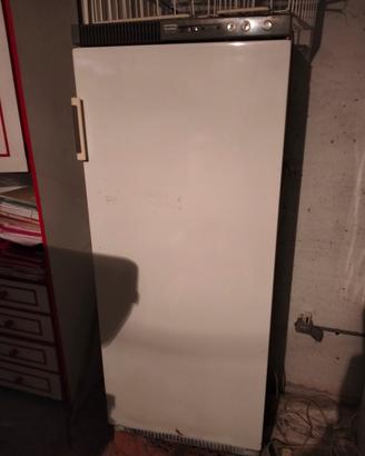 congelatore a colonna mordton