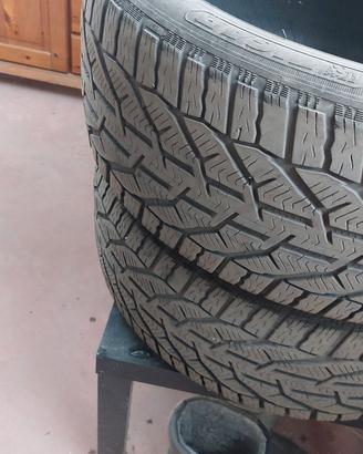 gomme invernali