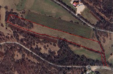 Doberdò del Lago terreno seminativo/arativo