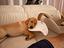 Immagine 4