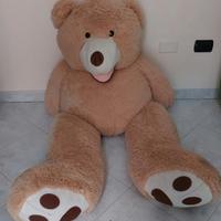 Peluche Teddy xxl