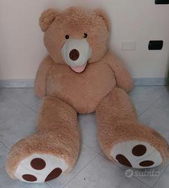 Peluche Teddy xxl