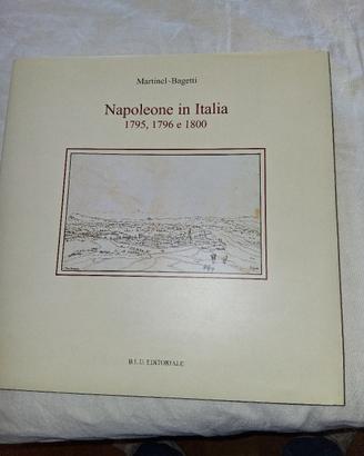 Napoleone in Italia 