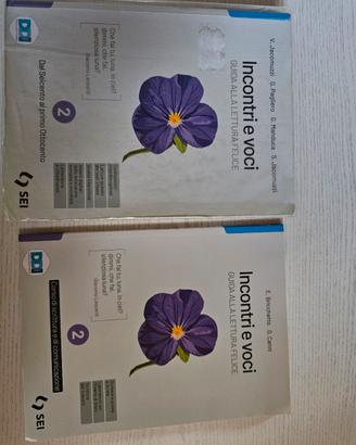 Libro Incontri e Voci 2