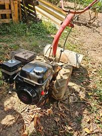 motocoltivatore bedogni 5cv axo