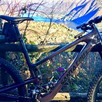 Santa Cruz TallBoy  29”. XL